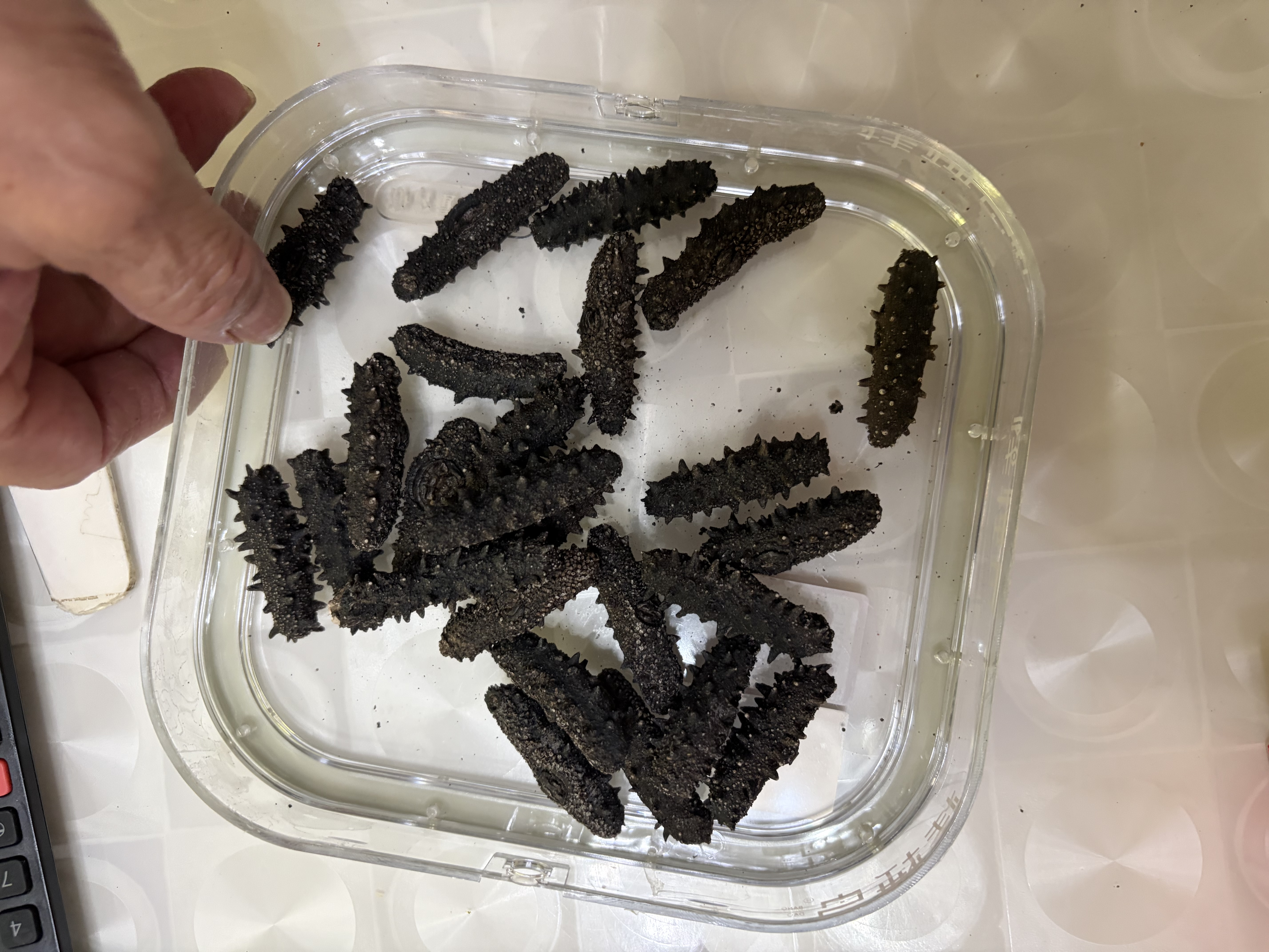 棒棰岛大连干海参辽参干辽刺参海鲜水产孕妇滋补南北干货送礼品礼盒特产 110g*1盒 25-35只店长推荐礼盒款 实拍图