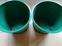 花盆绿植盆栽加厚塑料简约多肉小盆阳台客厅月季玫瑰大号家用花盆 高款2加仑(口径22cm)2个盆 配套托盘 实拍图