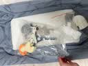 FORSUNNY婴儿床可移动0-3岁多功能拼接宝宝床可折叠新生儿摇摇床哄睡神器 免安装升降护栏婴儿床+尿布台+蚊帐 高配款 婴幼儿用品母婴必备活动晒图送椰棕床垫 实拍图
