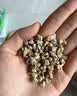 史丹利黄金软麦饭石颗粒铺面多肉养花专用绿植通用土壤盆栽拌土石5斤 实拍图