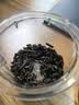 大益TAETEA茶叶普洱熟茶百福臻祥三级散茶180g送礼长辈礼盒送礼礼品 实拍图