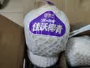 佳沃（JOYVIO）泰国进口椰青香水椰子 4个装大果约900g+ 源头直发 国庆送礼 实拍图