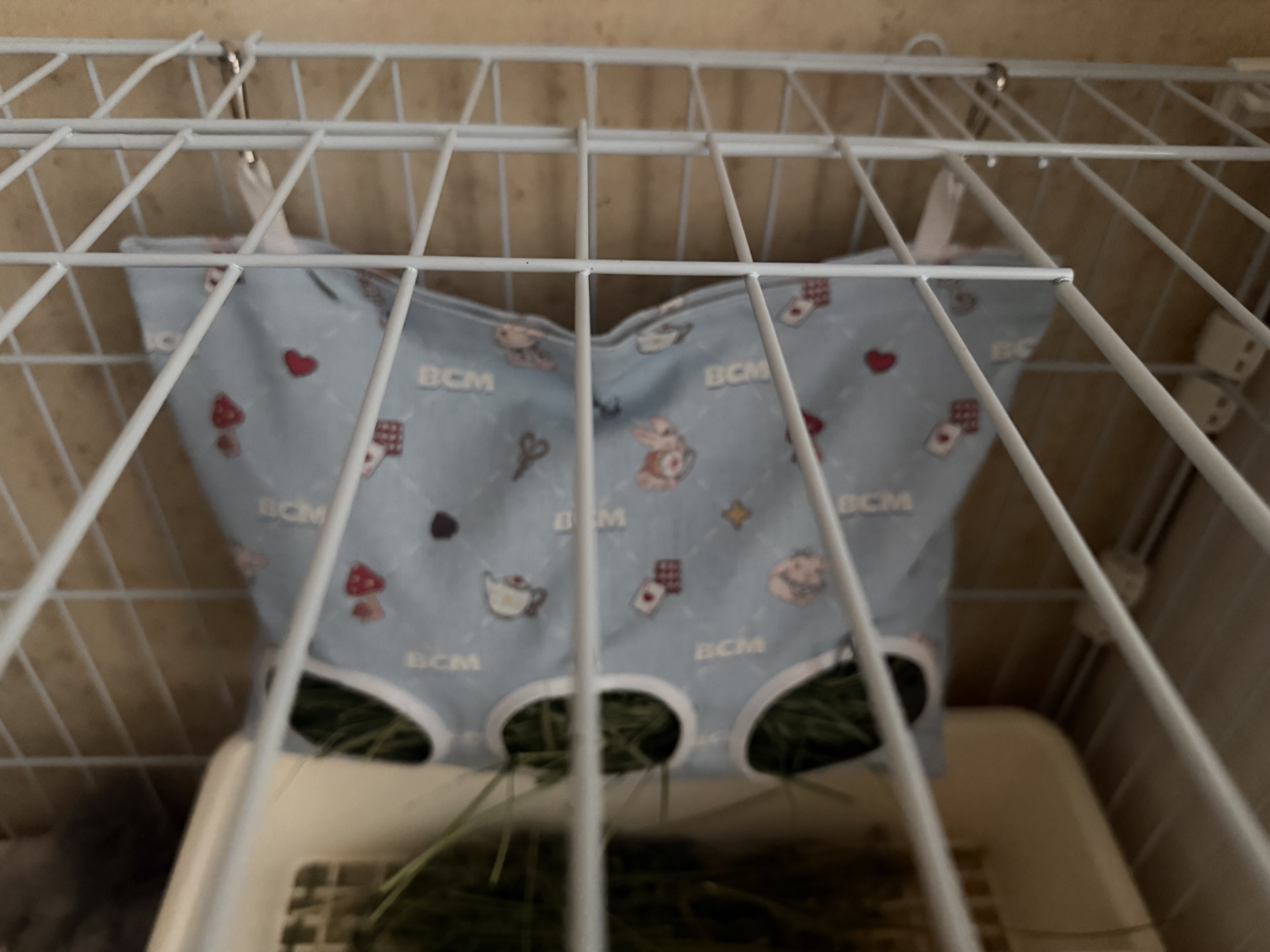 BCM兔子草袋 小宠悬挂式干草喂食袋子 荷兰猪豚鼠龙猫兔子提摩西草架 实拍图