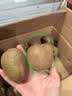京鲜生 陕西亚特绿心猕猴桃 5斤装 超大果 单果130g+ 新鲜国庆水果 实拍图