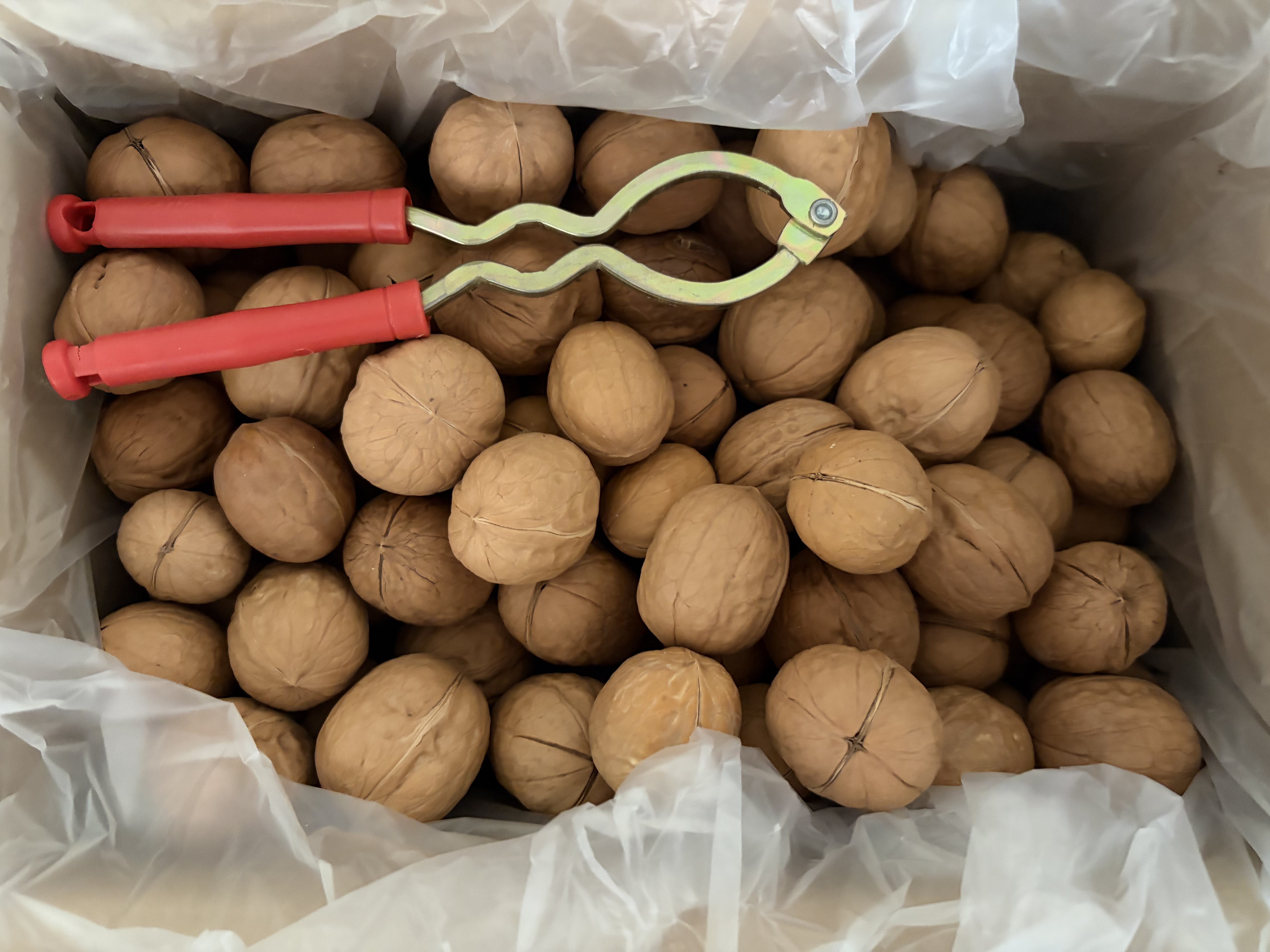 舌里原味薄皮核桃3斤装 新疆特产休闲零食坚果炒货送夹子1500g/箱 实拍图
