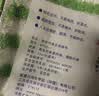 妙洁竹净去油污抹布23*18cm3片装 厨房洗碗布家用 独特纤维一冲即净 实拍图