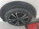 米其林（MICHELIN）汽车轮胎 225/55R19 99V 旅悦 PRIMACY SUV 适配林肯/冒险家/CS75 实拍图