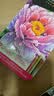 霹雳马（PRISMACOLOR）【中秋礼品】彩色铅笔彩铅笔12色花园彩铅画笔套装三福绘画美术生专用手绘画画笔 实拍图