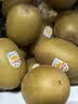 佳沛（zespri）新西兰金奇异果22粒巨大原箱146-175g猕猴桃水果礼盒 实拍图