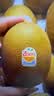 佳沛（zespri）新西兰金奇异果10粒巨大果146-175g猕猴桃水果礼盒 实拍图