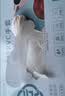 乌斯京一次性手套PVC手套100只大码食品级实验美容清洁烘焙餐饮厨房手套 实拍图