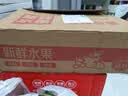 果跃霖山东莱阳秋月梨子冰糖丰水雪梨脆甜现摘新鲜水果中秋送礼 5斤甄选装 【单果7-12枚】净重4.5斤 A+级30年老树果【清甜脆爽】 实拍图