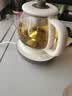 小熊（Bear）煮茶壶喷淋式煮茶器 小型一人蒸茶壶养生壶 迷你养生烧水壶 1升 ZCQ-H10D1 礼物 实拍图