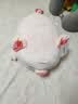 名创优品（MINISO）小猪B-BO玩偶公仔毛绒娃娃抱枕靠枕生日礼物女儿童玩具趴趴bobo猪 实拍图