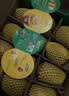 佳沛（zespri）新西兰金奇异果12粒特大果124-146g猕猴桃中秋节礼品送水果礼盒 实拍图