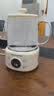 九阳（Joyoung）养生壶家用全玻璃煮茶器轻音炖煮办公室0金属0胶水冲奶800W大功率烧水壶恒温壶WY-PR2105（1L） 实拍图