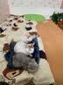 醇粹黑标狗粮无谷冻干犬粮大型犬成犬幼犬通用鸡肉鱼肉狗粮15kg囤货装 实拍图