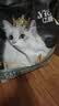 亿迪猫粮冻干幼猫成猫10斤全价英短蓝猫布偶老年猫国产通用全阶段5kg 实拍图