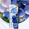 蒙牛真果粒蓝莓味牛奶饮品250g*12盒 新老包装 中秋送礼礼盒 实拍图