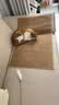 憨憨乐园防剑麻垫猫抓垫猫抓板不掉屑耐抓防猫爪猫垫子入户门地垫用品 实拍图