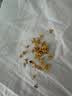 丙田 冻干桂花茶40克 桂林产鲜桂花无熏硫金桂干花食用搭红茶烘焙原料 实拍图