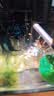 彻朗鱼缸除油膜器鱼缸油膜处理器电动油膜过滤器 除油膜器升级款 实拍图