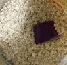 红色拖拉机进口奇亚籽燕麦片即食免煮冲饮谷物营养早餐500g*2袋 实拍图