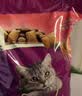 伟嘉成猫猫粮3.6kg海洋鱼味布偶夹心粮【原料透明】 实拍图