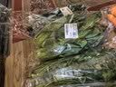 【火锅季】带根香菜100g 实拍图
