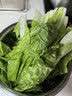 史丹利植物营养液500ml 花肥料家用盆栽通用型水培发财树富贵竹花卉绿植 实拍图