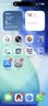 Apple/苹果/苹果 iPhone 17 256GB 黑色 支持移动联通电信5G 双卡双待手机 实拍图