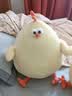 名创优品（MINISO）dundun鸡墩墩鸡玩偶抱枕小鸡公仔毛绒玩具娃娃靠枕生日礼物女 实拍图