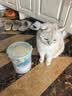憨憨宠猫零食冻干桶猫咪零食成猫冻干鸡胸肉鱼鸭肉猫粮宠物猫狗冻干零食 12种冻干 精装组合桶600g 实拍图
