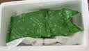 伊利安慕希希腊风味早餐酸奶 原味205g*10盒  礼盒装 实拍图