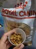 皇家狗粮 博美成犬狗粮 犬粮 宠物小型犬 PM26 全价犬粮 ≥8月 2KG 实拍图