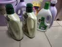 滴露（Dettol）衣物消毒液除菌松木3L 衣服消毒水99.9%杀菌除螨内衣裤 实拍图