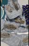 京东京造大连有机即食海参1kg 16-20只固形物75%即食海参中秋礼品礼盒 实拍图