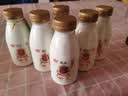 光明【高端鲜奶】280ml致优4.0娟姗鲜牛奶1*6瓶  鲜奶 低温奶 定期购 实拍图