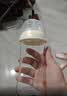小土豆（potato）婴儿玻璃奶瓶 宽口径系列小宝宝专用奶瓶新生儿奶瓶 240ml 实拍图