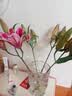 吉米鹿香水百合花鲜花A级【红色12朵】3-4枝云南基地鲜切花束源头直发 实拍图
