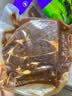 京东超市海外直采 惠选黑椒调味牛排800g(4-5片)  牛肉烧烤儿童早餐胡椒 实拍图