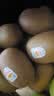 佳沛（zespri）新西兰金奇异果12粒特大果124-146g猕猴桃中秋节礼品送水果礼盒 实拍图