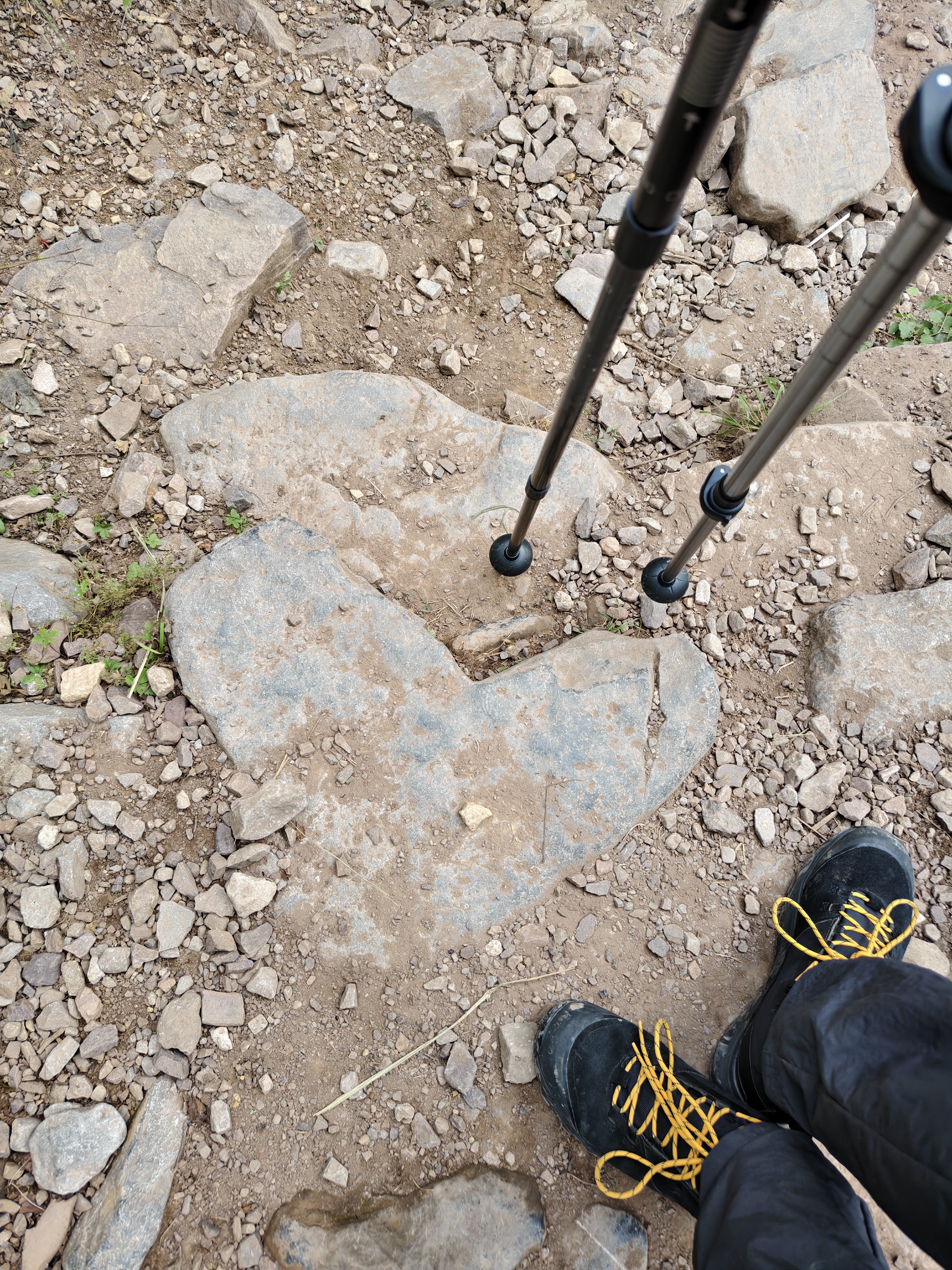 迪卡侬徒步鞋男鞋户外休闲登山鞋男女防水防滑中帮春秋运动鞋鞋子 MH500 黑色-中帮-男款 42 实拍图