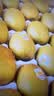 佳沛（zespri）新西兰金奇异果10粒巨大果146-175g猕猴桃中秋节礼品送水果礼盒 实拍图