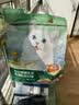 网易严选全价猫粮成幼猫主粮三文鱼亮毛深海鱼虾味1.8kg 【宠物金选】 实拍图
