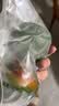 新鲜绿圆椒青椒太空椒灯笼椒柿子椒甜椒农家种植现摘蔬菜辣椒不辣 新鲜绿圆椒【4斤装】 实拍图
