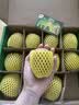 佳沛（zespri）新西兰金奇异果12粒特大果124-146g猕猴桃水果礼盒 实拍图
