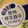 伊利安慕希刺梨雪梨风味酸奶230g*10瓶  京东专供  礼盒装 实拍图