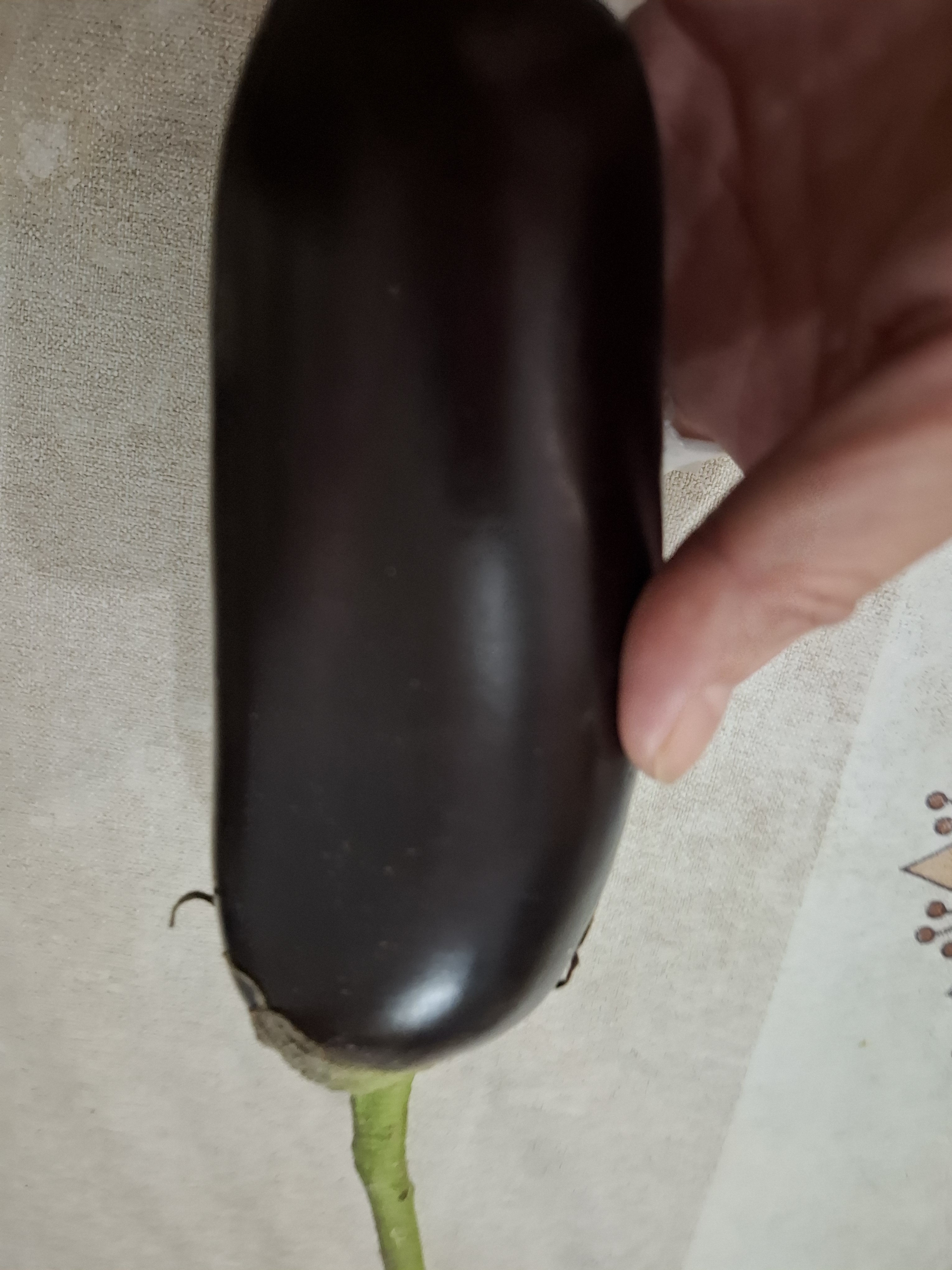 山东新鲜绿把紫皮长茄现摘现发新鲜嫩茄新鲜时令蔬菜生鲜 新鲜绿把紫茄2斤带箱 1.8斤 净重 实拍图