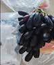 京鲜生 云南蓝宝石葡萄 金手指无籽黑提 尝鲜装2-2.5斤 易掉粒 生鲜水果 实拍图